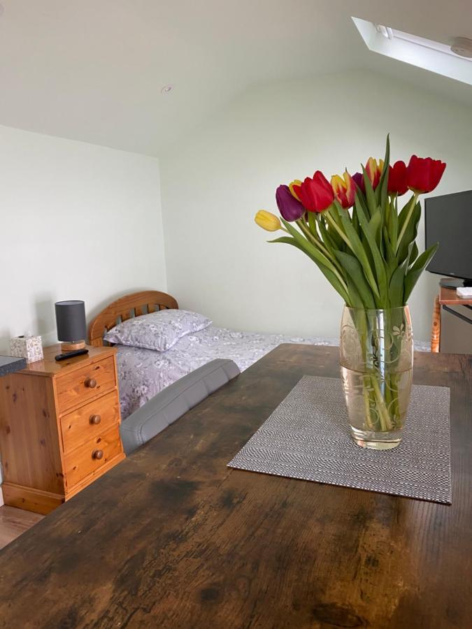 Cosy 1 Bed Garden Annexe Apartman Colchester Kültér fotó